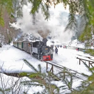 Revelionul Intarziatilor la Maramures - 4 zile/ 3 nopti cu demipensiune si petrecere - 25.02/ 28.02.2027